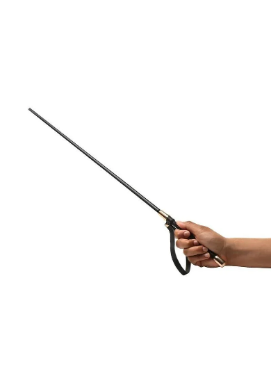 MASTER SERIES SINFUL IMPACT CANE
